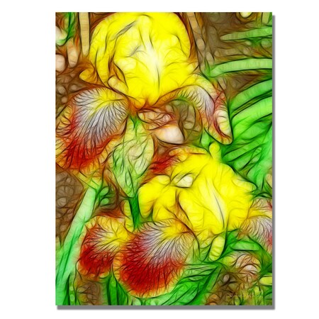 Kathie McCurdy 'Iris Yellow Batik' Canvas Art,35x47